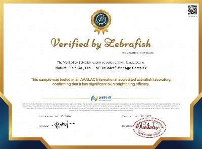 Skin Brightening Efficacy Testing Certificate Skin Brightening Efficacy Testing Certificate
