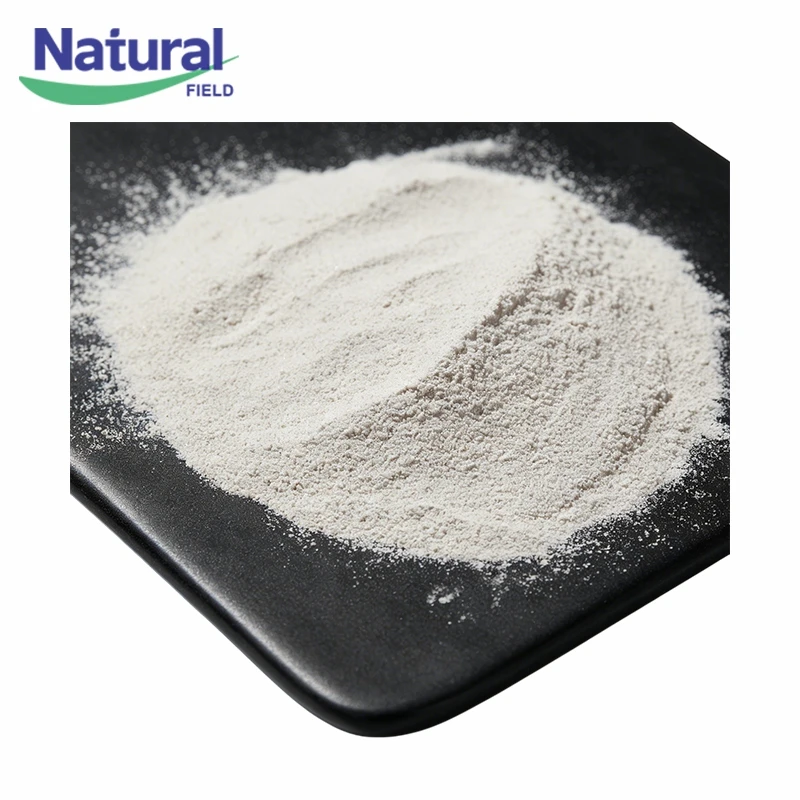 Bulk Pumpkin Seed Extract Powder best