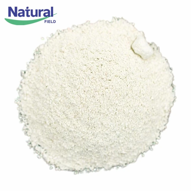 Bulk Pumpkin Seed Extract Powder factory