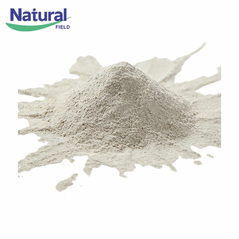 Bulk Pumpkin Seed Extract Powder suppliers