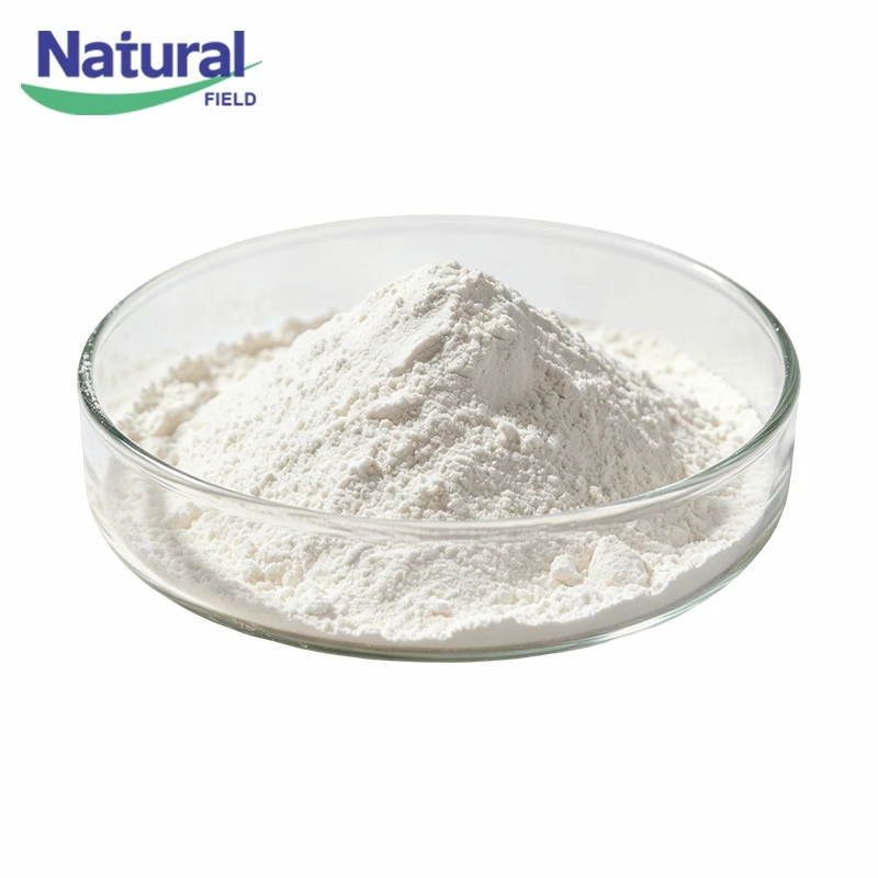 Saw Palmetto Extract Powder factory