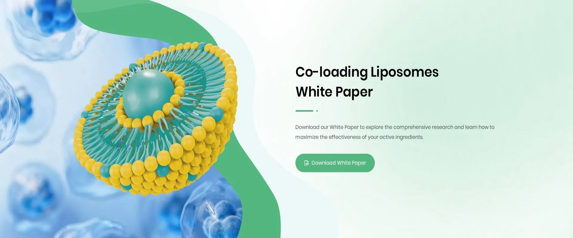 NFco-loading® liposomes white paper