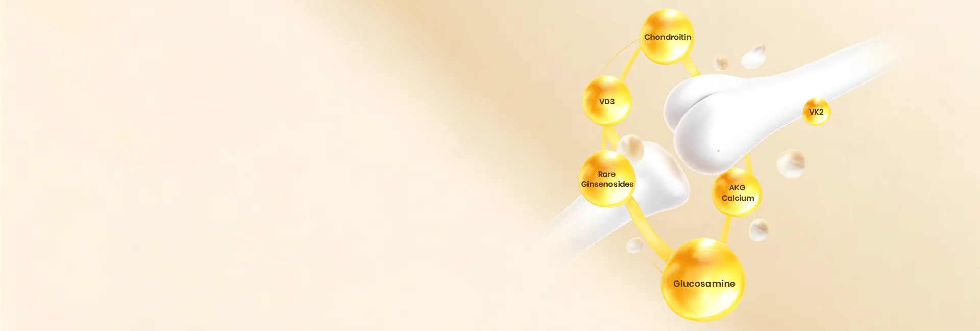 NF TriSolve® JointFlex Complex