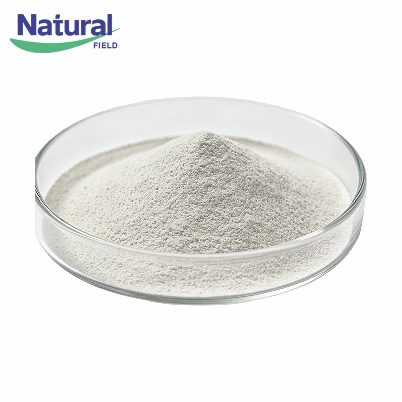 Bulk Pumpkin Seed Extract Powder