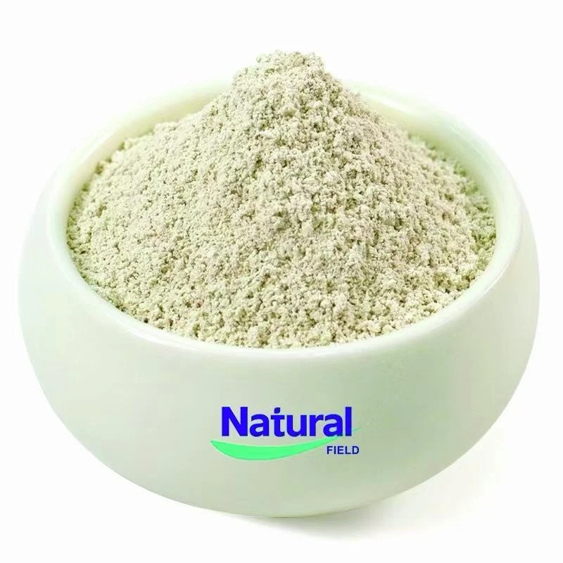 Ferrous Gluconate Powder