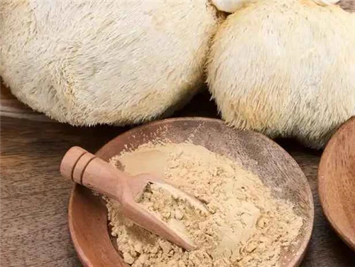 Lion’s Mane Extract vs Powder: Which Ingredient Is Better for Supplement Formulations