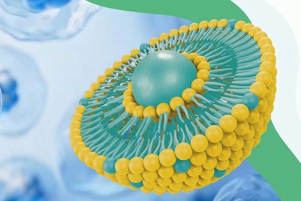 Liposomal Technology Liposomal Technology