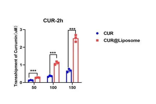 Curcumin Verified Higher Absorption Potential Curcumin Verified Higher Absorption Potential