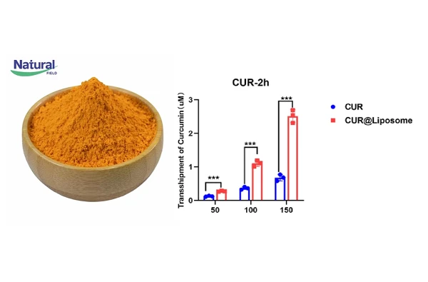 NFlipo Curcumin NFlipo Curcumin