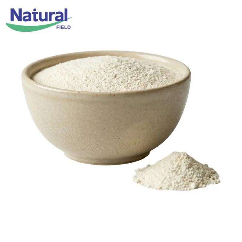 Liposomal Nicotinamide Powder