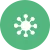 NFco-loading® Liposomal Technology