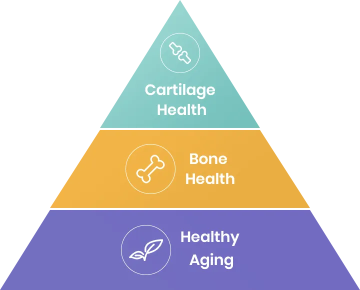 page-1-1 Formula Strategy Behind Our Synergistic Joint Health Solution