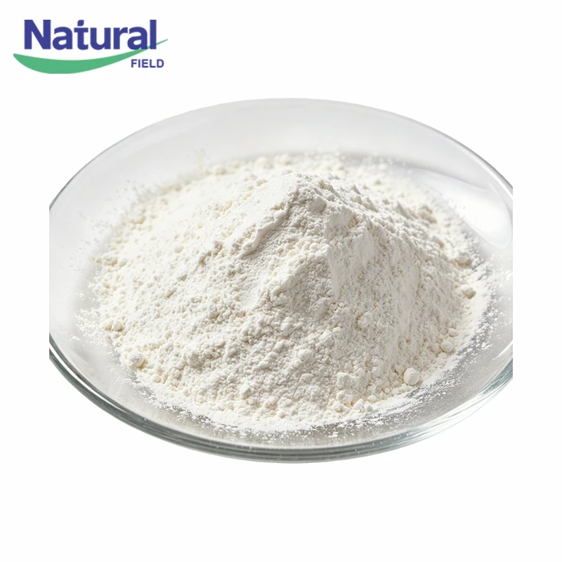 Saw Palmetto Extract Powder